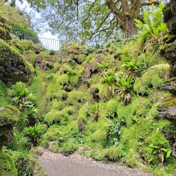 irland rundreise 2025_41